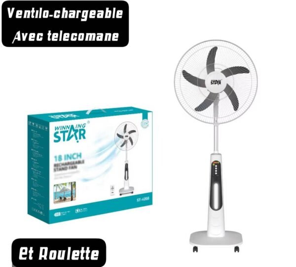 Ventilateur Winning Star